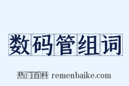 数码管组词是什么意思的图片